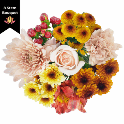 Bouquet "Healing Cocoa" (8 stems)