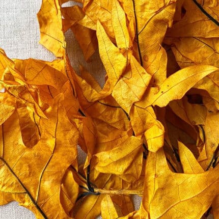 Leaves Oak Mango 1lb.