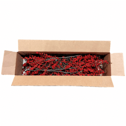 Ilex Winterberry case kraemer