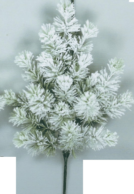 Pine Spray Baltic pick x18 grn each