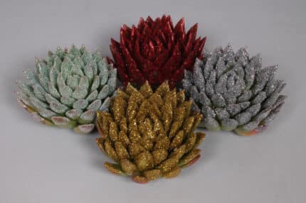 Succulent White Glitter holl(S