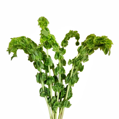 c1e3a498-ac92-4594-9dfd-184242f8b1b2.jpg Bells esmeralda sel - Image 1