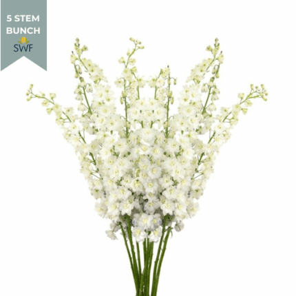 Delph White Andes 70cm holex