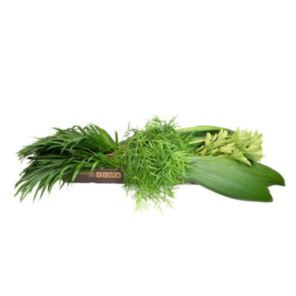 Combo Mixed Greens box holex