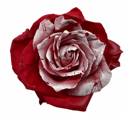 Rose Christmas Bulb 60cm flore