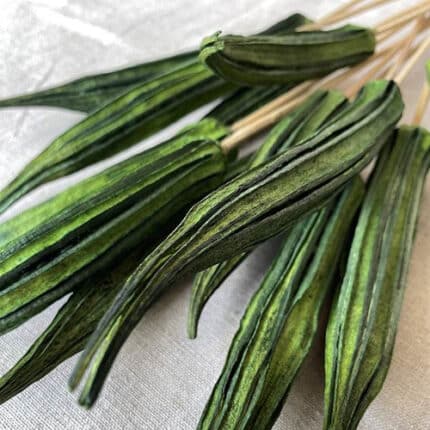 Okra Pod/Stem grass green 12/p