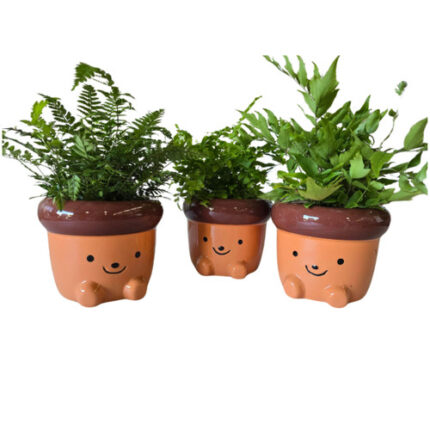 5" Alvin Acorn w/Fern