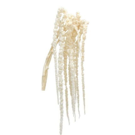 Amaranthus Hanging Bleached 70