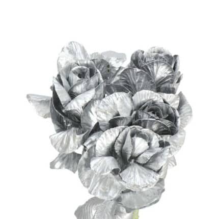 Kale Painted Silver holl(STEM)