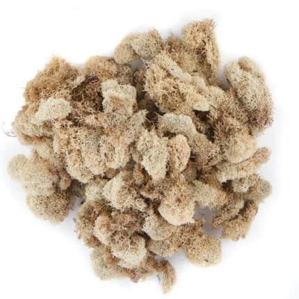 Reindeer Moss Natural bag