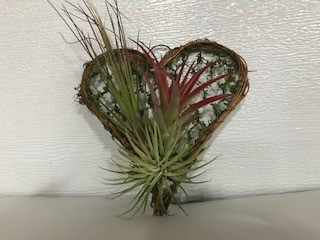 5" NATURAL VINE HEART W/3 AIR