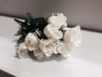 SILK ROSE Crm W/Gyp #GPB267 - Image 3