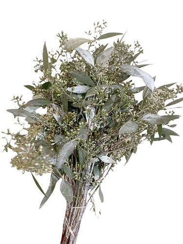 EUC silver seeded tutuli