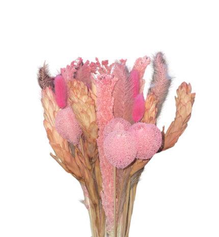Dried Bouquet Mono. Pink Case