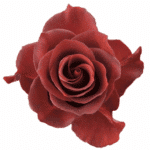 Rose Espresso 40cm rprima - Image 2