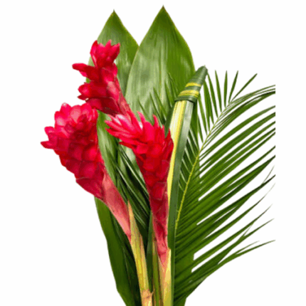 Bouquet Musa Coccinea national