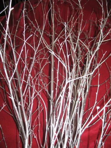 Silverpainted Birch 2' (5stm/b