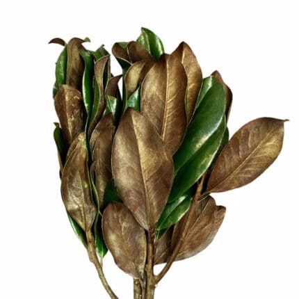 Gilded Magnolia - GR GMAG