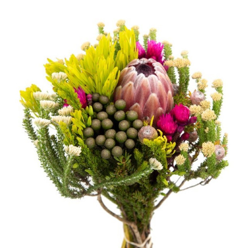 caf16a38-1d75-4671-915f-116afd8a7827.jpg Bouquet Cape Single Protea hole - Image 1