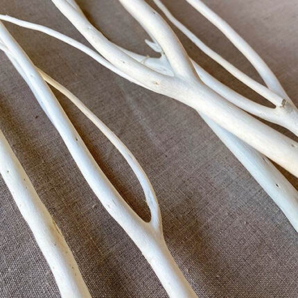 Mitsumata 4' bleached 3pcs/pk