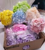Hydrangea Pastel Painted hydra(STEM) - Image 2
