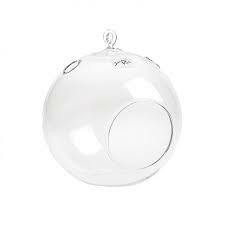 Terrarium Round 6.5"Hx5.5"D 24cs