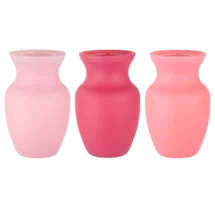 Rose Vs 8" clementine asst 12cs