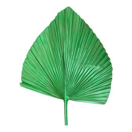 Palm Dried Lt Green Metallic holex(STEM
