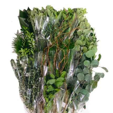 Mixed Greens cont case