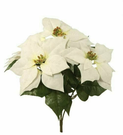 Bush Poinsettia velvet wht x5 each