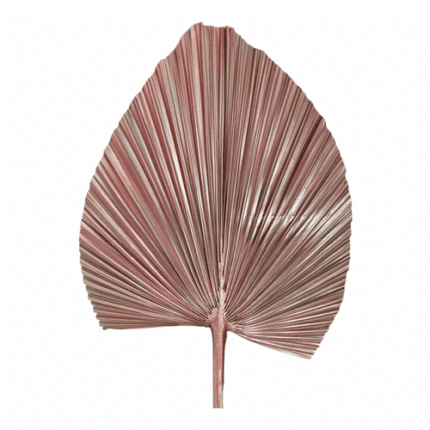 Palm Dried Rose Metallic holex(STEM)