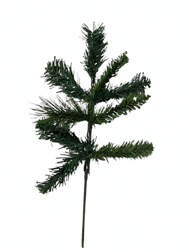 Pine Spray Calgary pine x18 mixed