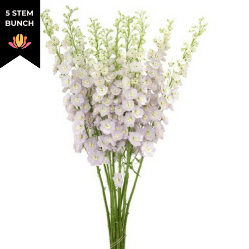 d53018f6-d3ca-4614-8366-e428a3f5772a.png Delph Mauve River Elatum(5st) valleflor 110cm - Image 1