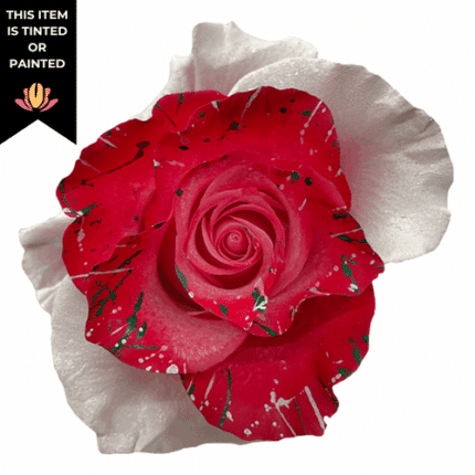 Rose Mistletoe 50cm florecal