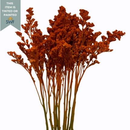 Solidago Orange esmeralda