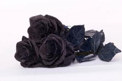 Rose Black Widow 50cm naranjo
