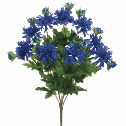 Cornflower Dark Blue Bush x15