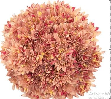 Pom Cushion Carribean Sunset b