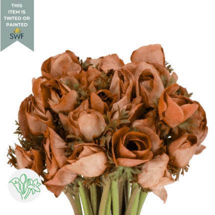 Anemone Caramel holl