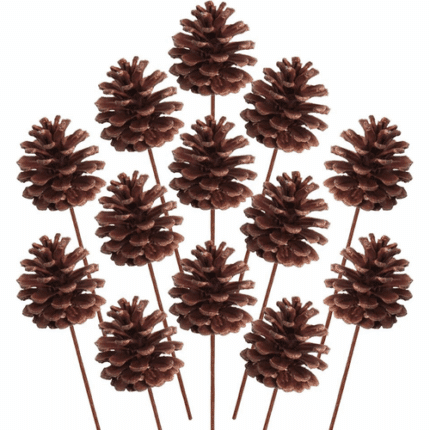 Pinecones Natural w/ Pick (x100 per box)