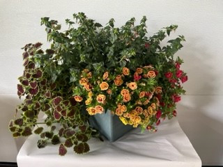 12" Fall Patio Planter