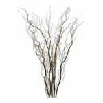 Curly Willow large hiawatha - Image 2
