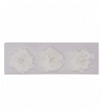 Gardenia White preserved holl box - Image 4