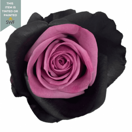 Rose Purple Bat 50cm Florecal