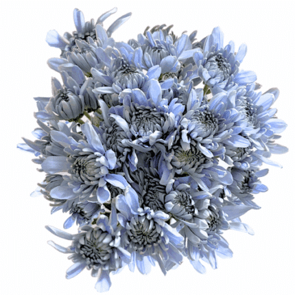 Pom Cushion Sapphire gall