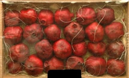 Pomegranates red 24pcs/tray