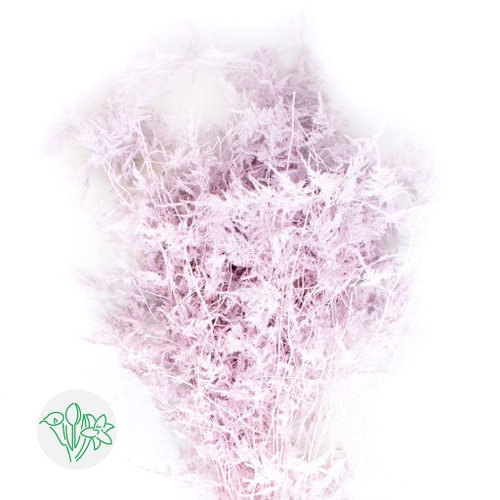 e3f75769-a9b7-453a-88c9-056d670213f5.jpg Asparagus Feather Lt Pk holl - Image 1