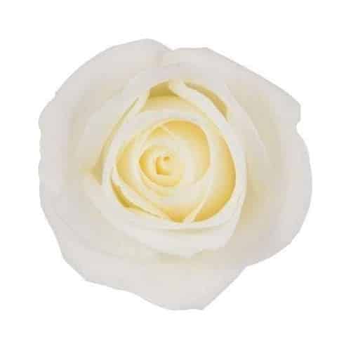 e4639ae5-b2f9-4a53-9a31-6dbbbd217fd8.jpg Rose Tibet 60cm florecal - Image 1