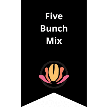 Larkspur Trilogy 5 bu mixed