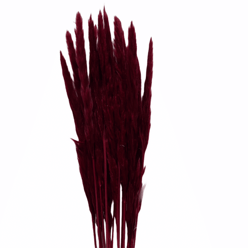 e8c3df10-bc9d-4978-bf4d-819d59d6b403.png Pampass Grass Silvy Dyed Burgu - Image 1